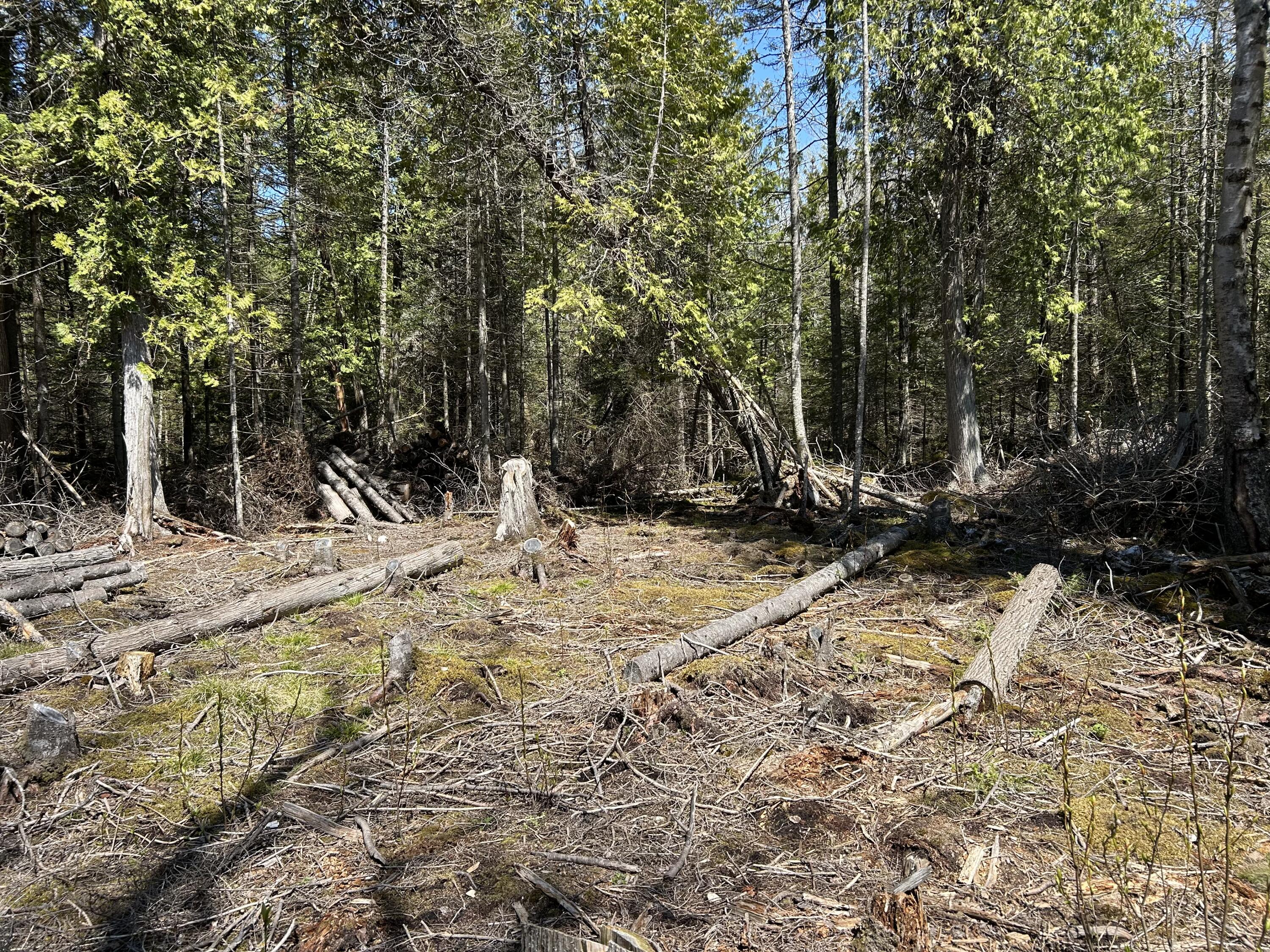 118 South Cream City Point Road Drummond Island, MI 49726 - Photo 15 of 31 IMG_1515