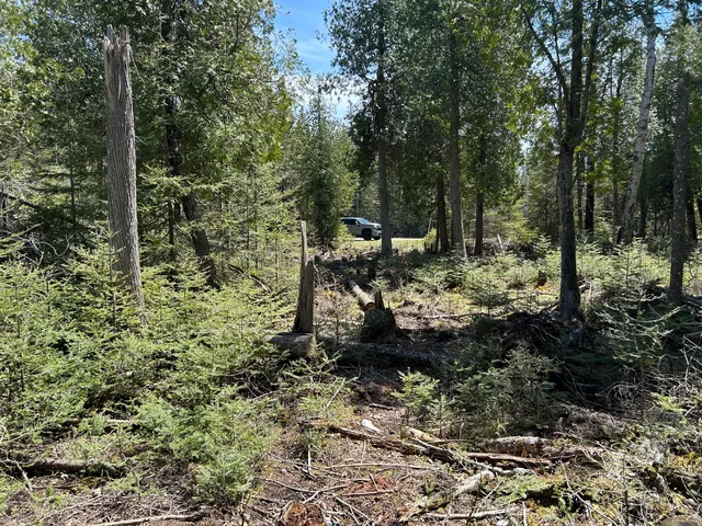 $549,900 | 118 South Cream City Point Road, Drummond Island, MI 49726