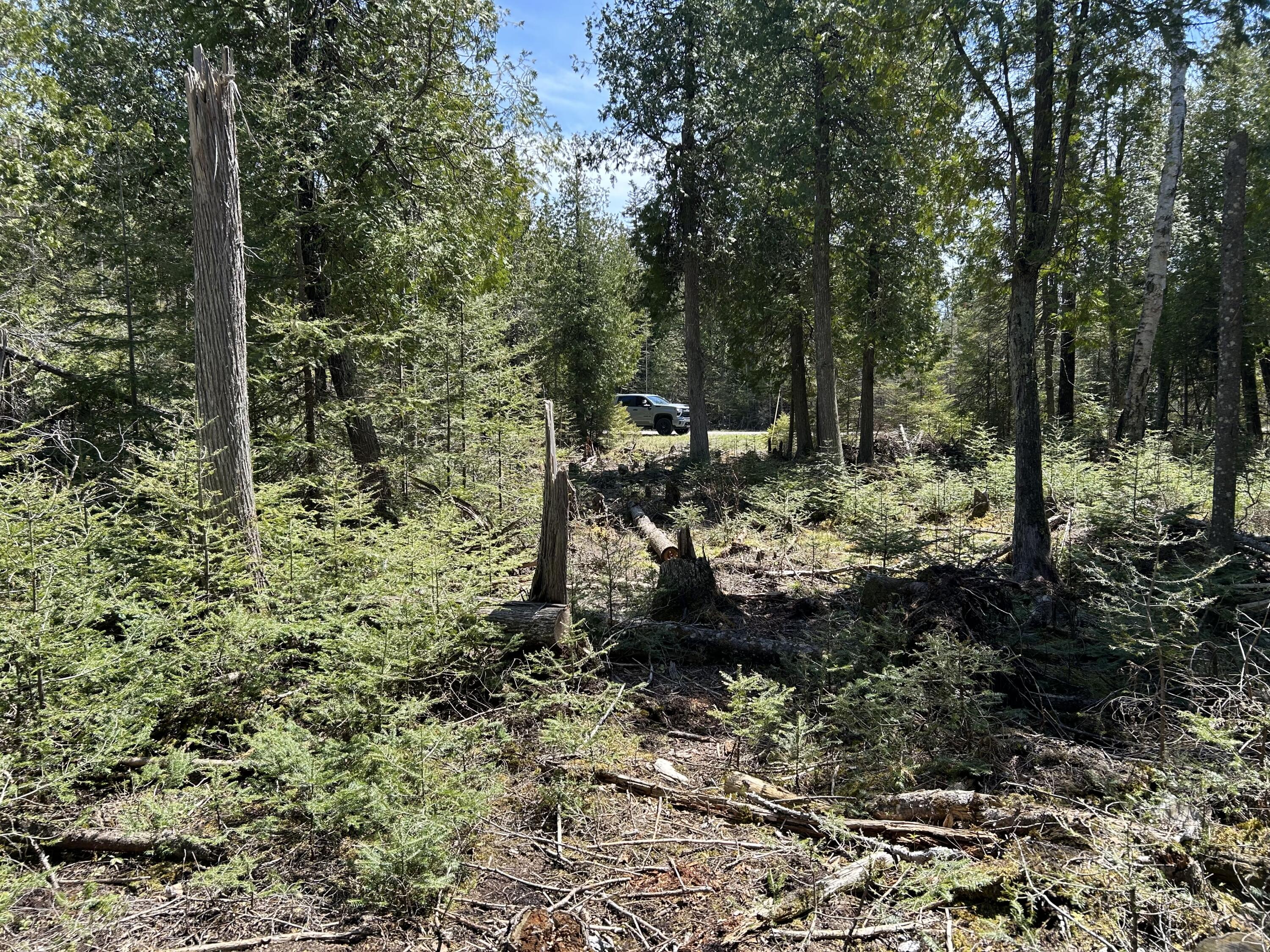 118 South Cream City Point Road Drummond Island, MI 49726 - Photo 16 of 31 IMG_1516