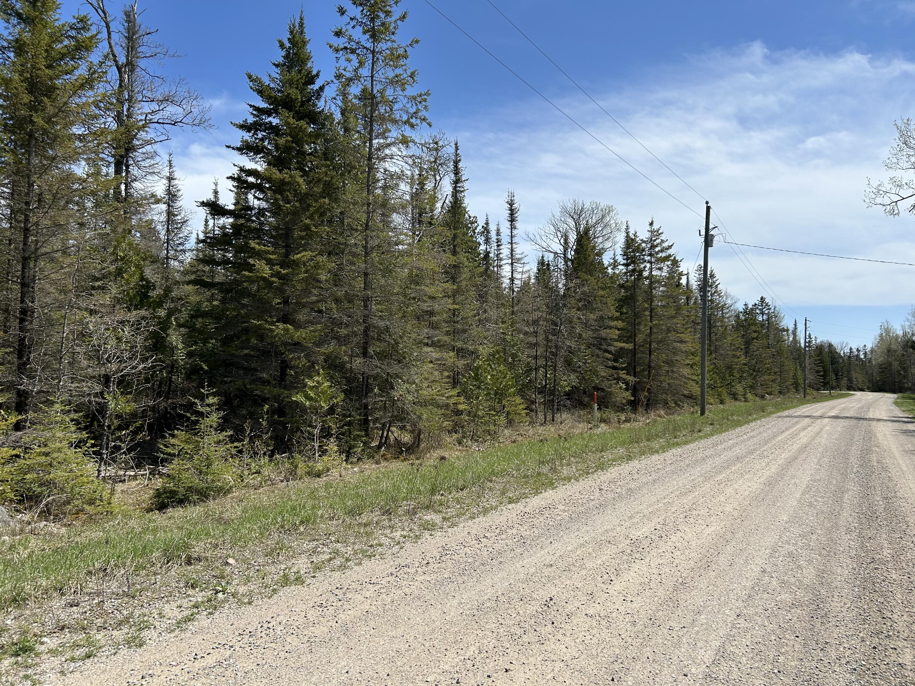 118 South Cream City Point Road Drummond Island, MI 49726 - Photo 18 of 31 IMG_1518