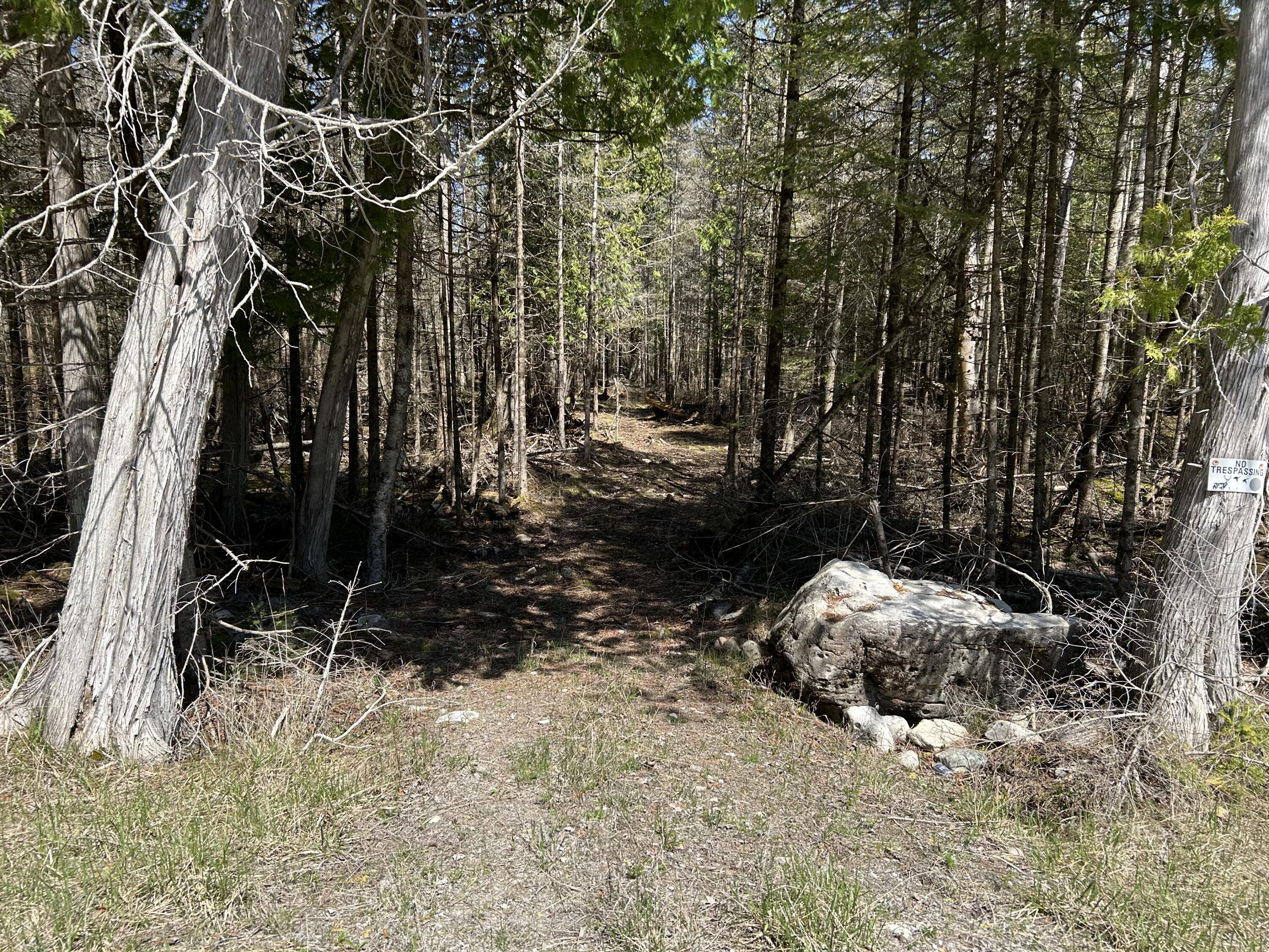 118 South Cream City Point Road Drummond Island, MI 49726 - Photo 19 of 31 IMG_1520