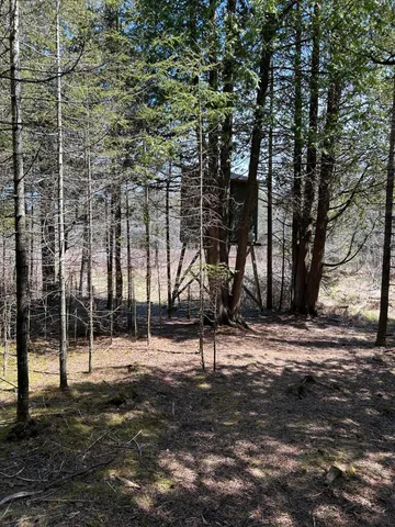 $549,900 | 118 South Cream City Point Road, Drummond Island, MI 49726