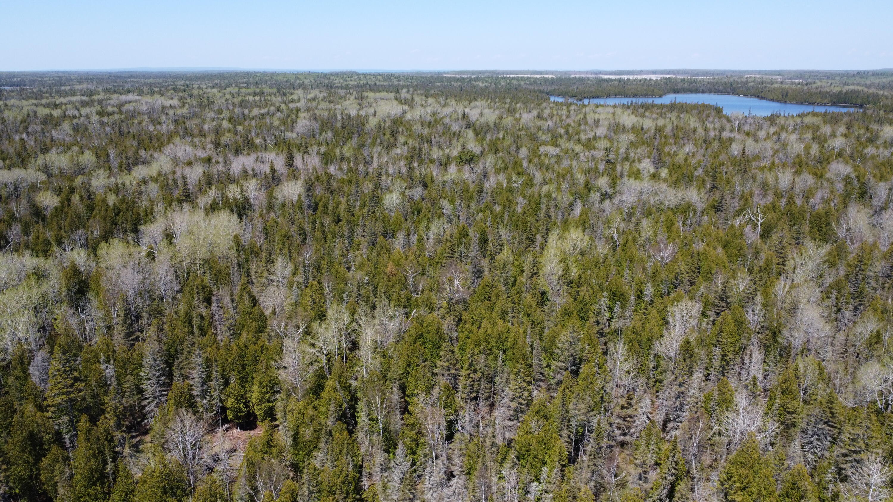 118 South Cream City Point Road Drummond Island, MI 49726 - Photo 2 of 31 DJI_0743
