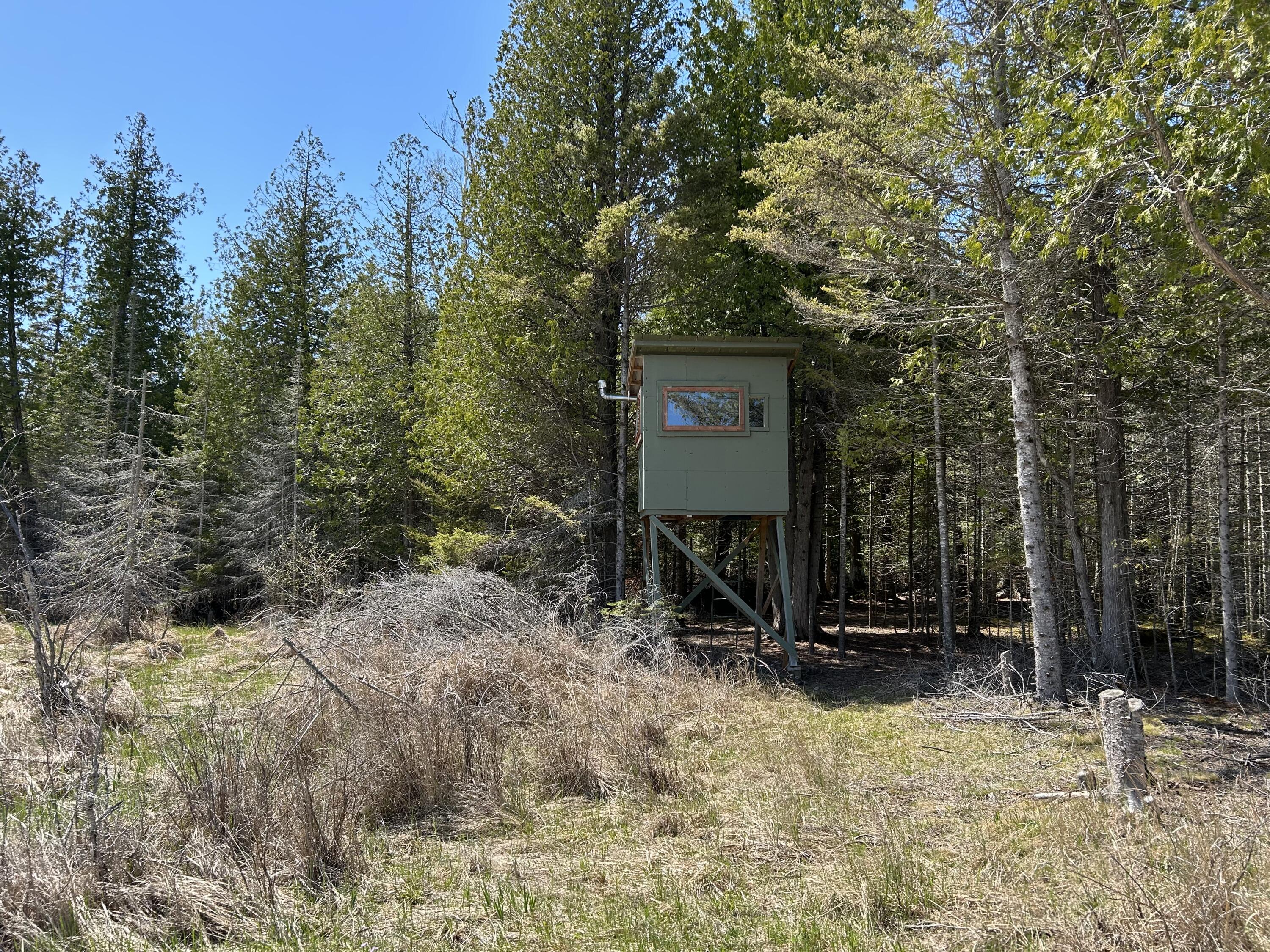 118 South Cream City Point Road Drummond Island, MI 49726 - Photo 24 of 31 IMG_1526