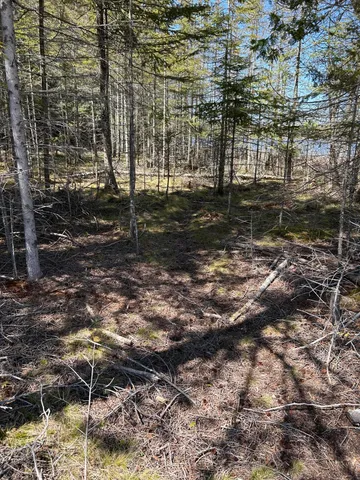 $549,900 | 118 South Cream City Point Road, Drummond Island, MI 49726