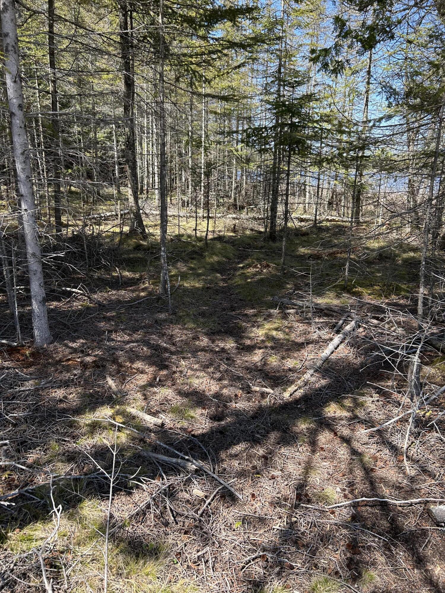 118 South Cream City Point Road Drummond Island, MI 49726 - Photo 26 of 31 IMG_1528