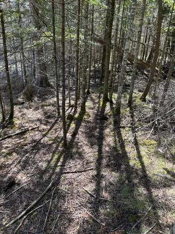 $549,900 | 118 South Cream City Point Road, Drummond Island, MI 49726