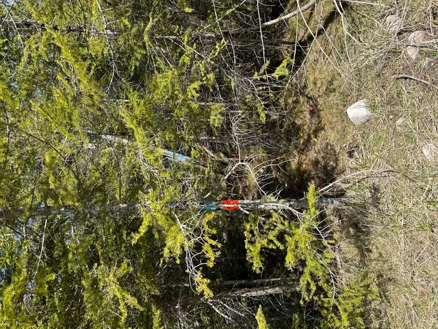 $549,900 | 118 South Cream City Point Road, Drummond Island, MI 49726