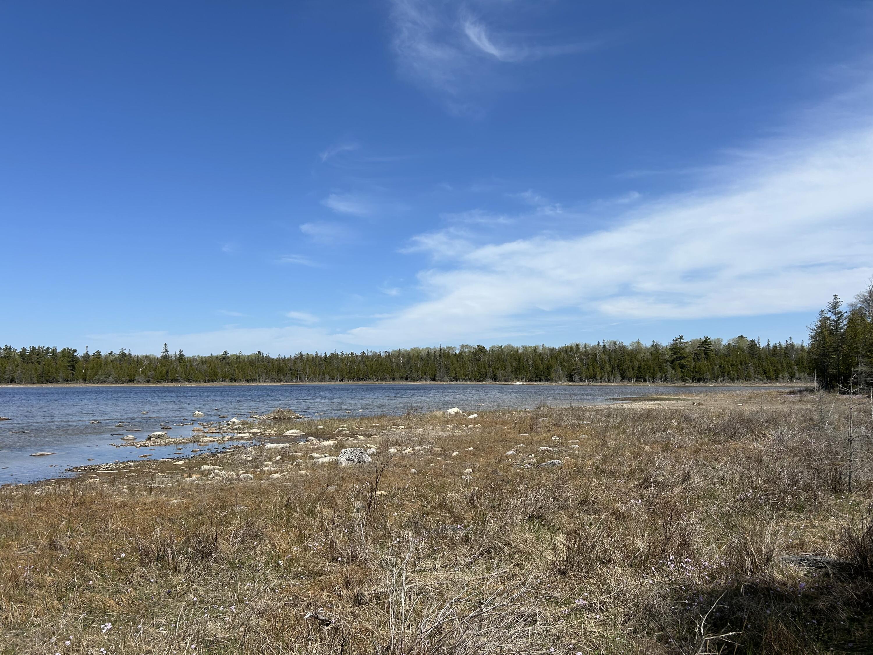 118 South Cream City Point Road Drummond Island, MI 49726 - Photo 29 of 31 IMG_1535