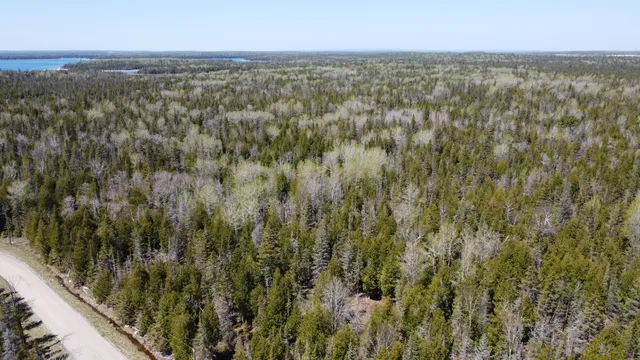 $549,900 | 118 South Cream City Point Road, Drummond Island, MI 49726