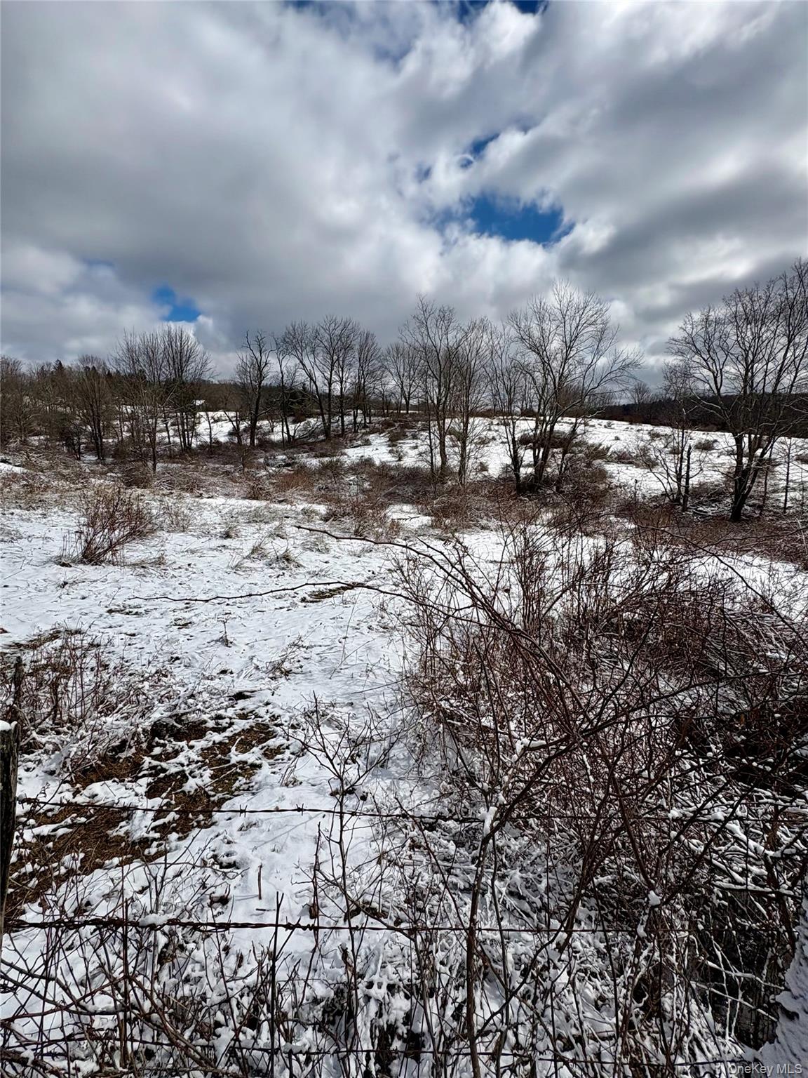 14 Frelich Rd/t R 28 Fremont Center, NY 12736 - Photo 13 of 47