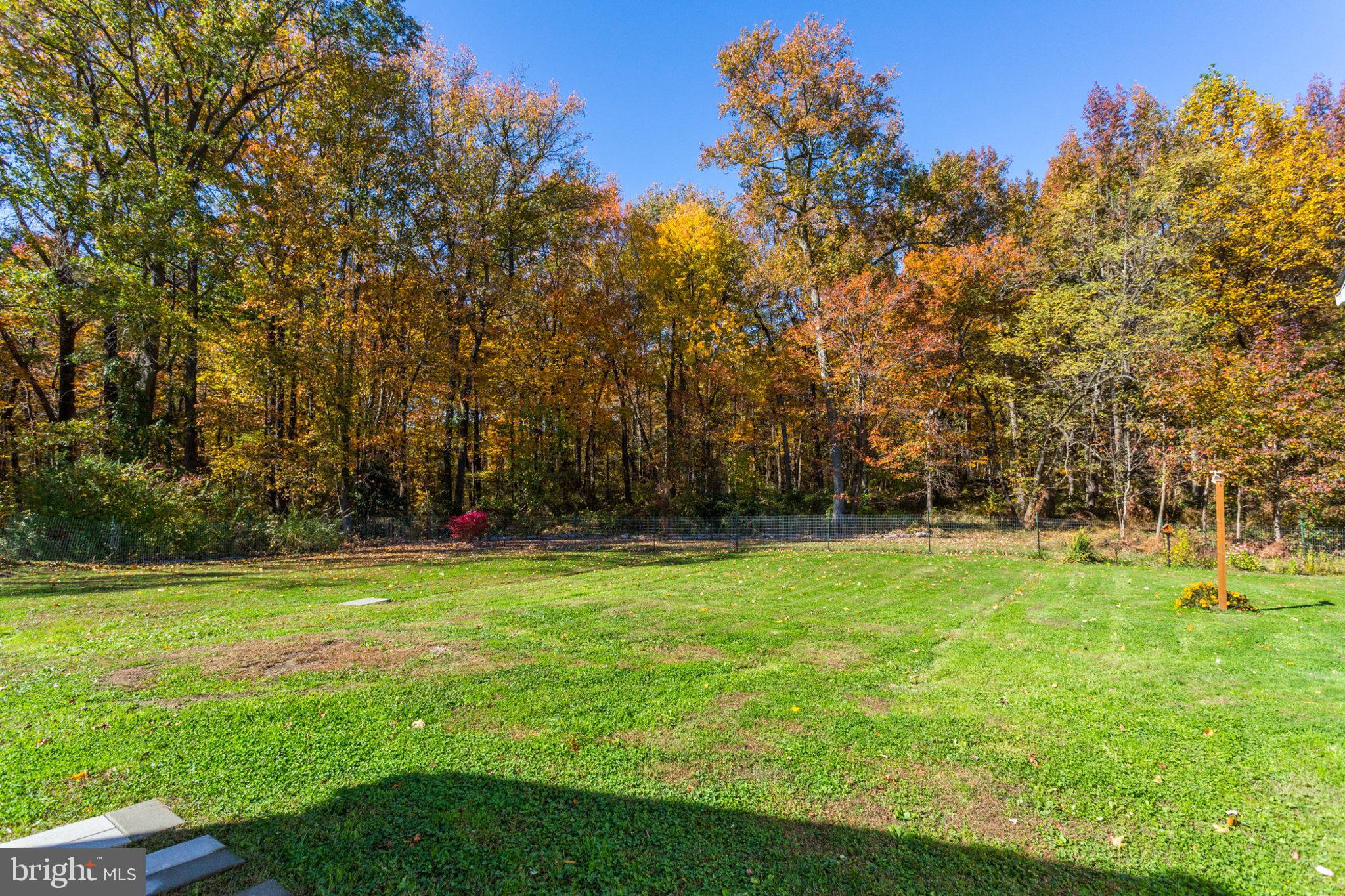 6118 Odell Road Beltsville, MD 20705 - Photo 64 of 72