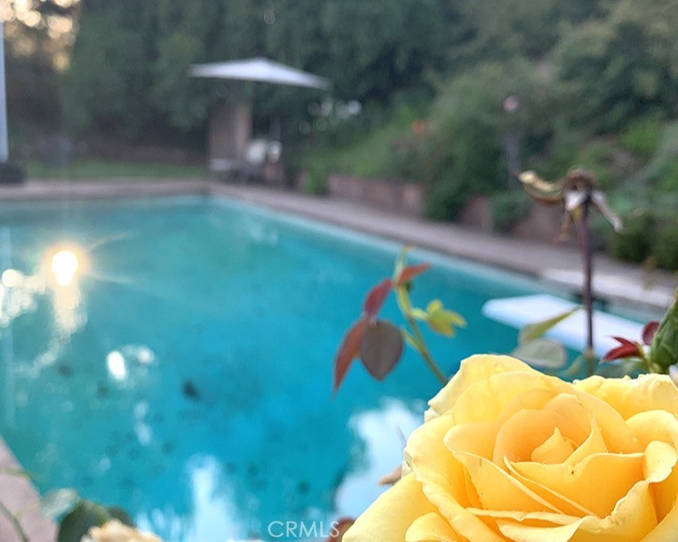 26261 Veva Way Calabasas, CA 91302 - Photo 29 of 59