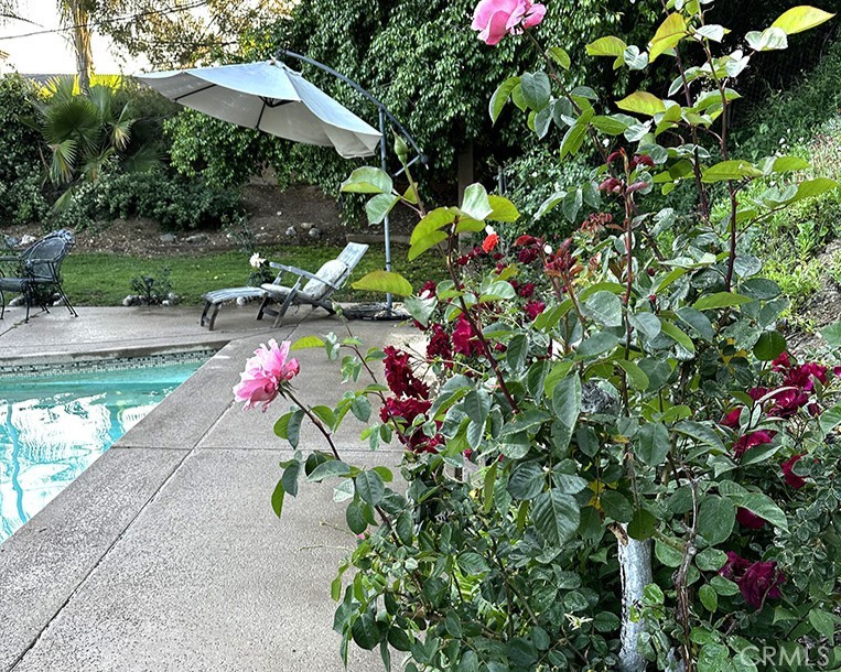 26261 Veva Way Calabasas, CA 91302 - Photo 37 of 59