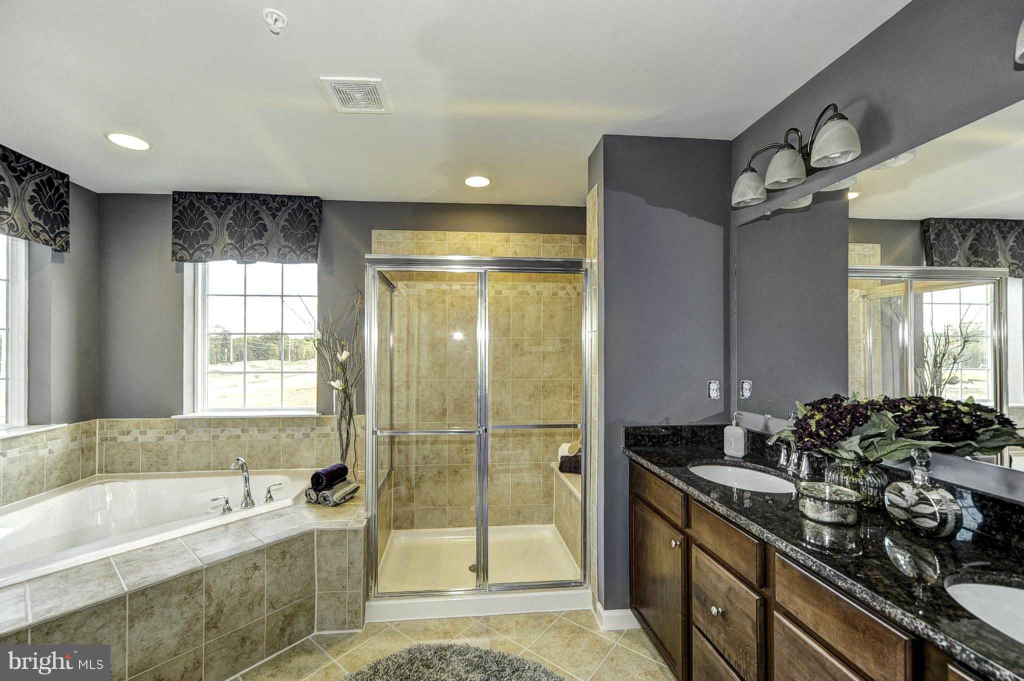 1003 Red Clover Road Gambrills, MD 21054 - Photo 14 of 30 a bathroom with a double vanity sink bathtub and shower