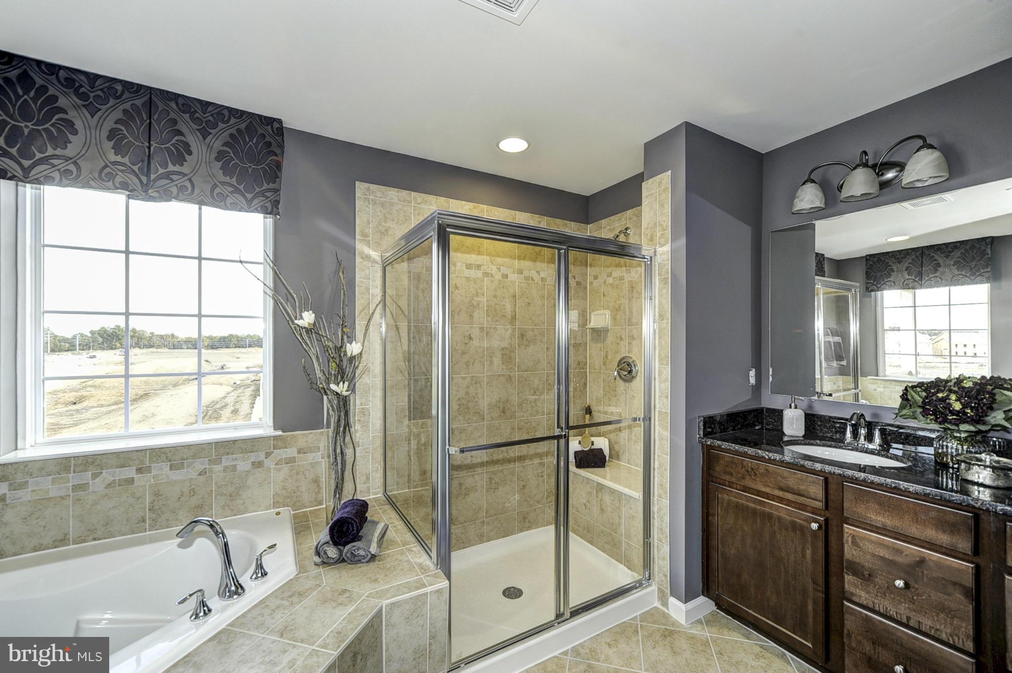 1003 Red Clover Road Gambrills, MD 21054 - Photo 15 of 30 a bathroom with a tub sink shower and mirror