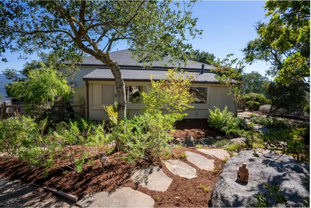 a view of a garden with plants