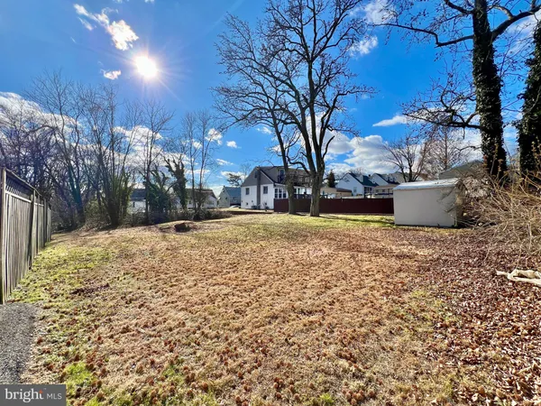 a view of a yard with a large trees