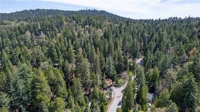 a view of a city with lush green forest