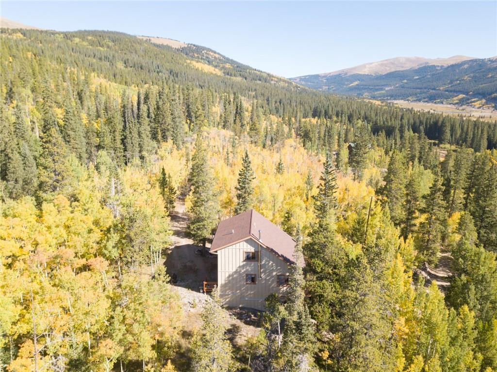75 Branch Road Alma, CO 80420 - Photo 8 of 35 Gallery Image 8