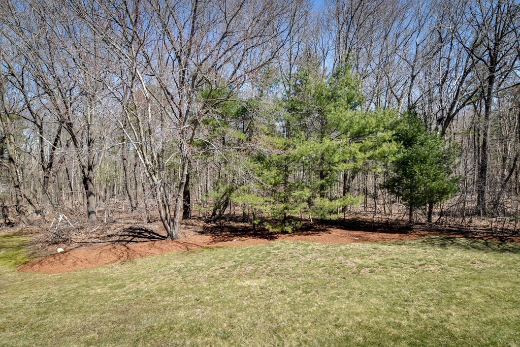 16 Russet Hill Road Ashland, MA 01721 - Photo 30 of 30 a view of outdoor space and yard