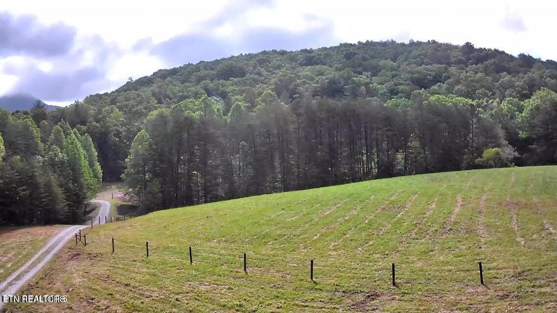 188 Dalton Branch Road Tellico Plains, TN 37385 - Photo 11 of 42