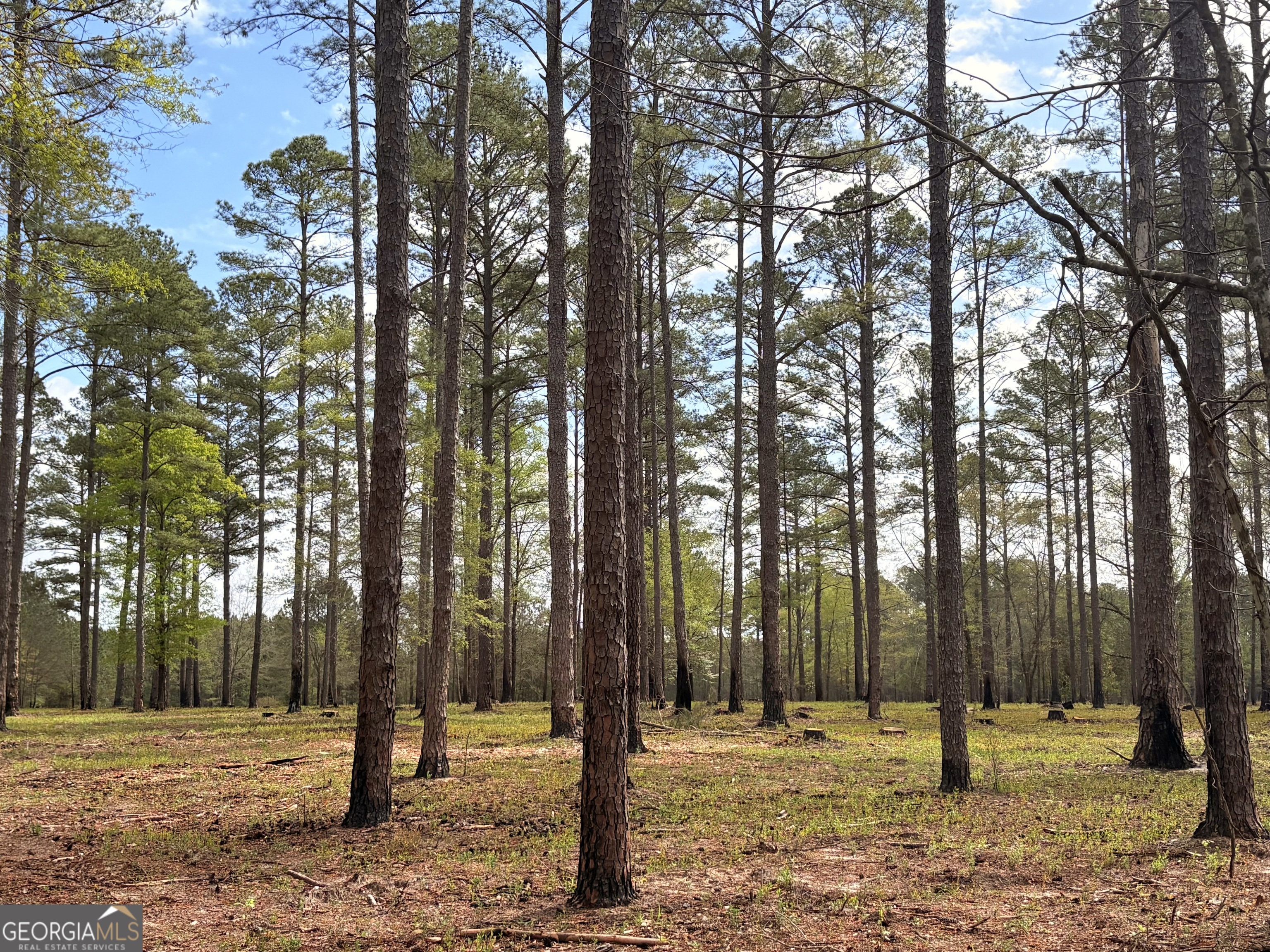 0 Sandy Creek Road Irwinton, GA 31042 - Photo 23 of 31