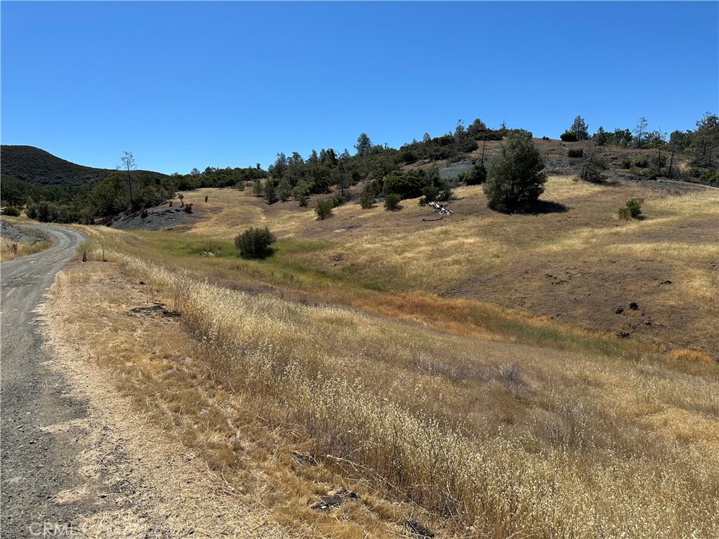 22017 No Guns Road Clearlake Oaks, CA 95423 - Photo 8 of 8 a view of a dry yard with trees