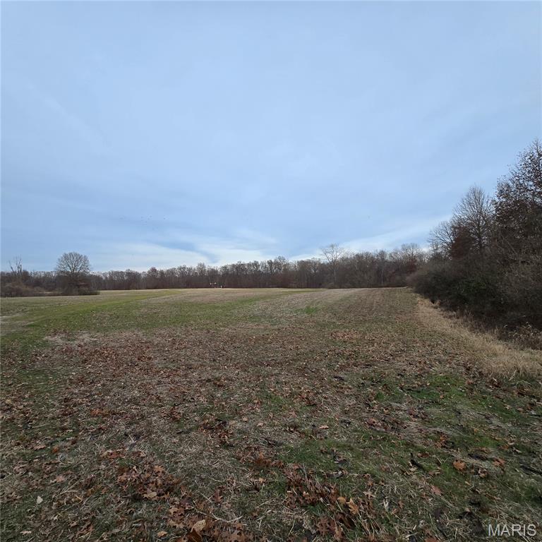 0 Allen Road Iuka, IL 62849 - Photo 11 of 82 Gallery Image 11