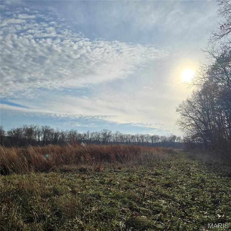 0 Allen Road Iuka, IL 62849 - Photo 23 of 82 Gallery Image 23
