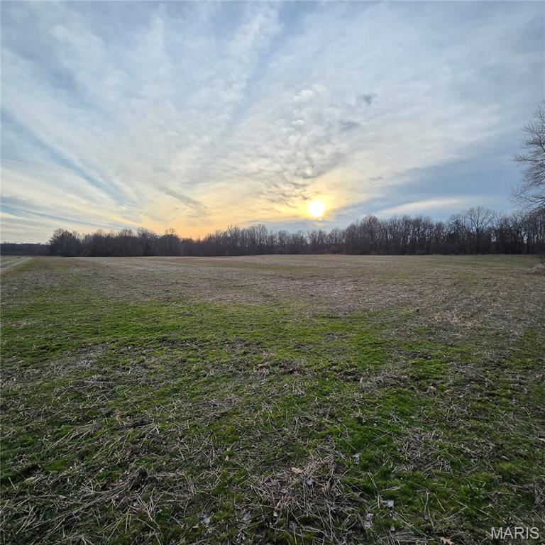 0 Allen Road Iuka, IL 62849 - Photo 4 of 82 Gallery Image 4