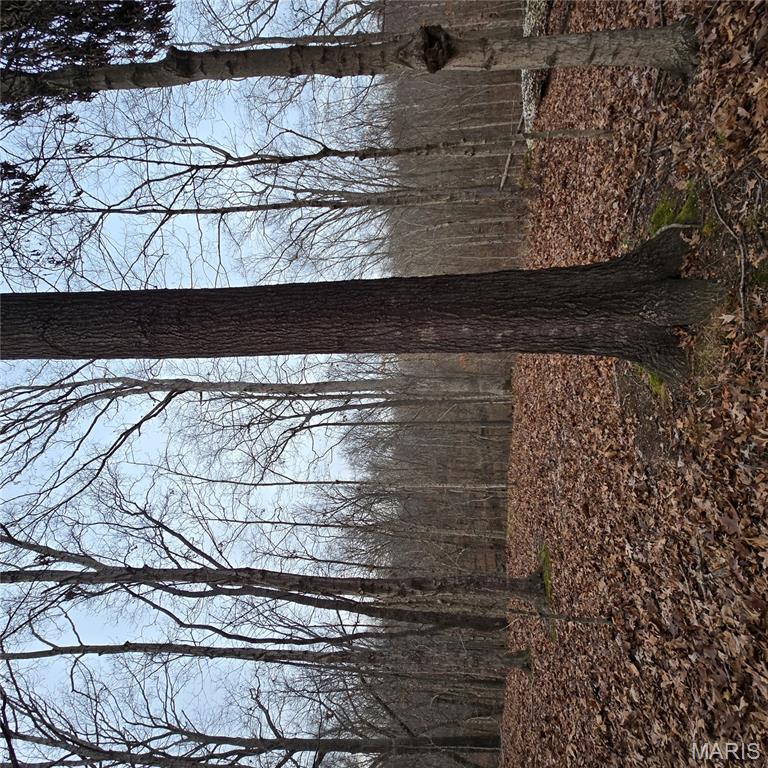 0 Allen Road Iuka, IL 62849 - Photo 54 of 82 Gallery Image 54