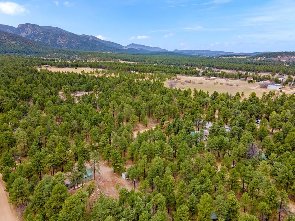 8145 Birch Drive Rye, CO 81069 - Photo 39 of 44
