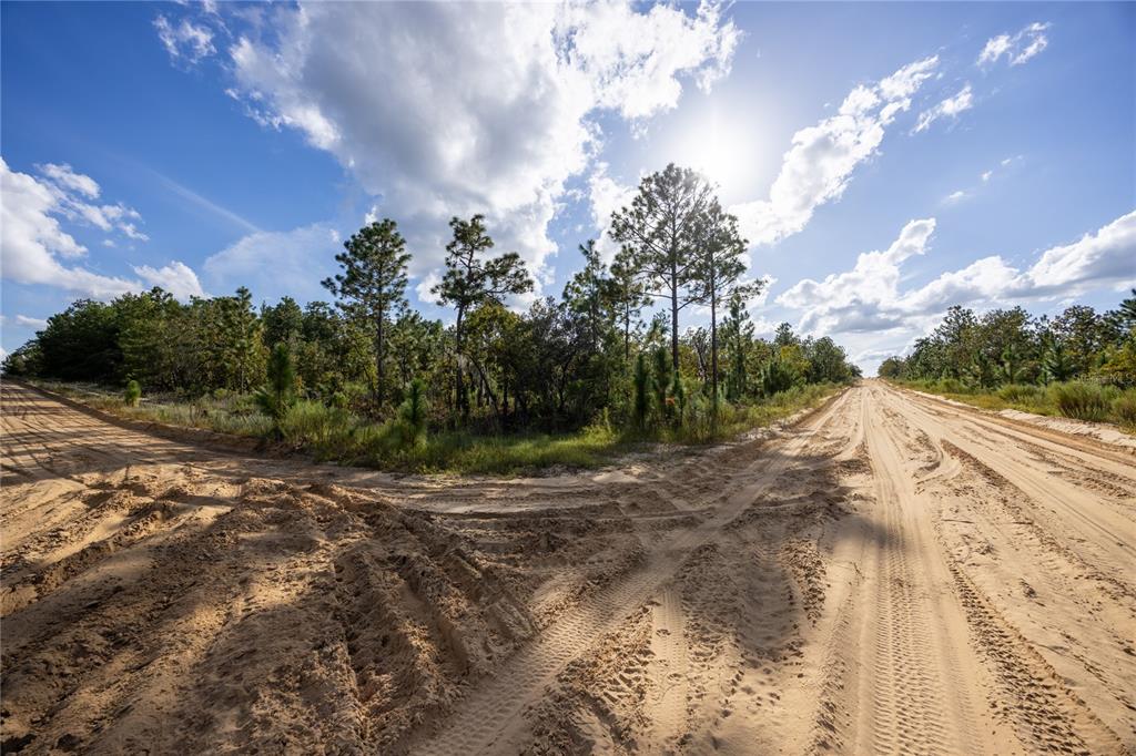 Tbd Grey Street East Interlachen, FL 32148 - Photo 12 of 22 a view of a yard with plants and trees