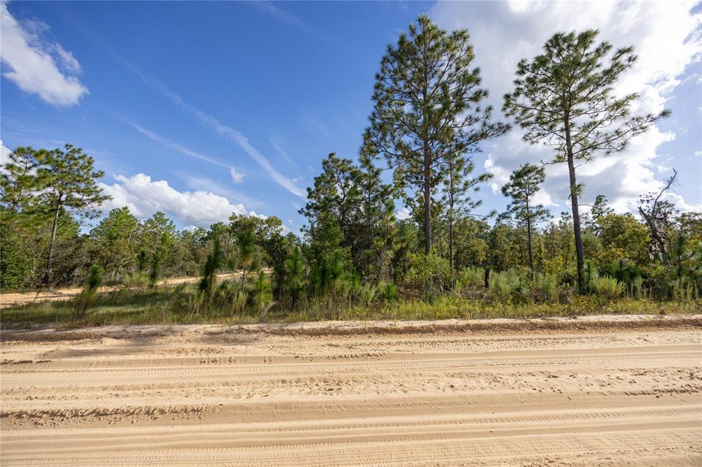 Tbd Grey Street East Interlachen, FL 32148 - Photo 13 of 22 a view of a yard