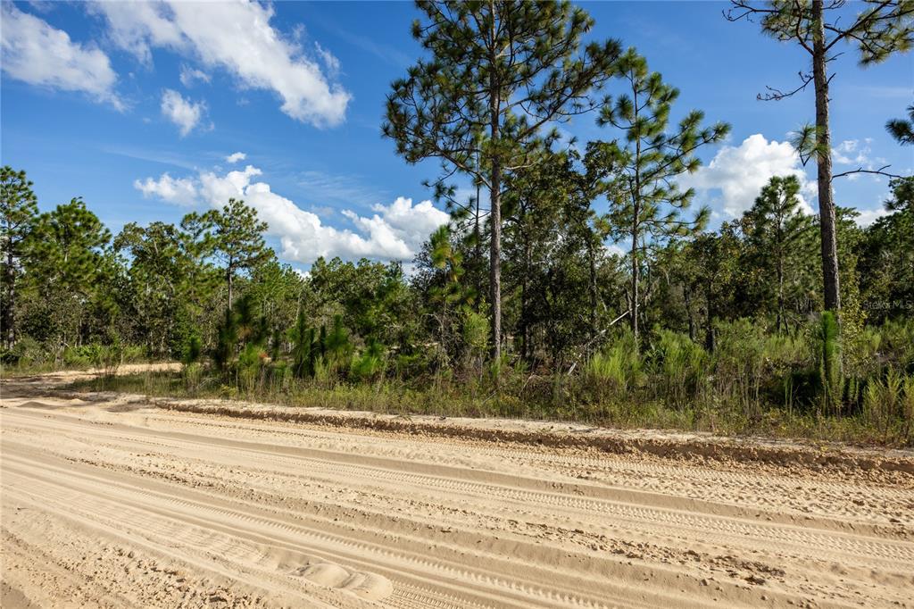 Tbd Grey Street East Interlachen, FL 32148 - Photo 15 of 22 a view of a house with a yard