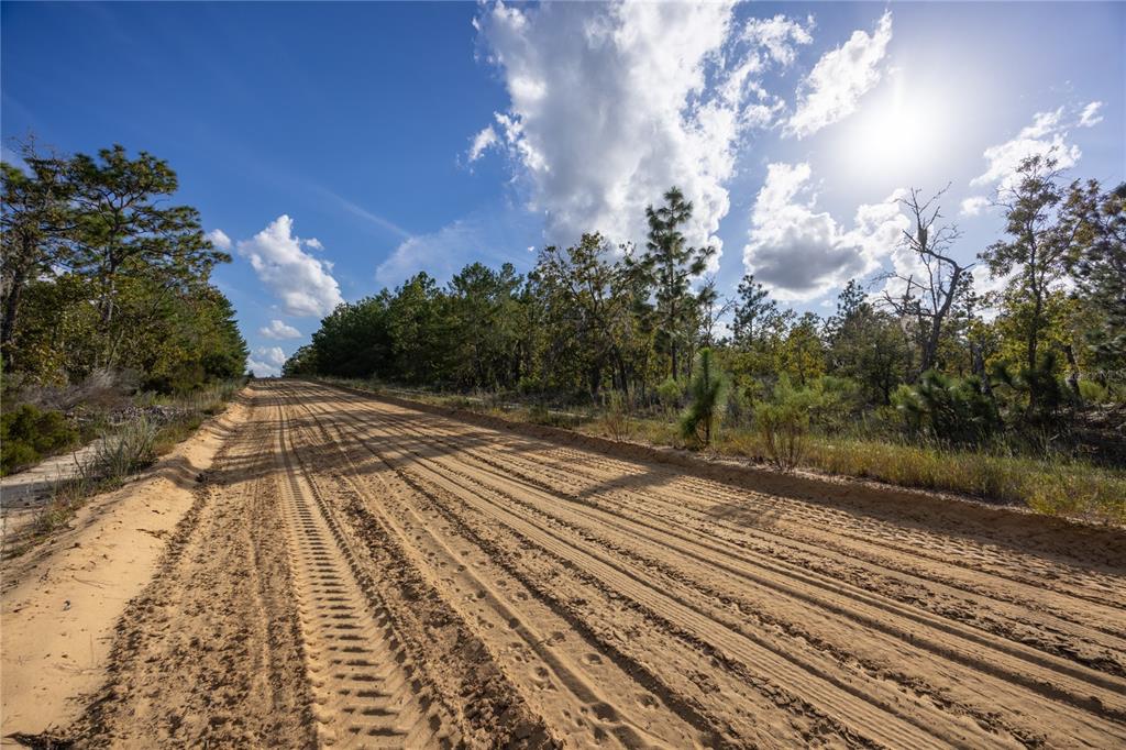 Tbd Grey Street East Interlachen, FL 32148 - Photo 17 of 22 a view of a yard