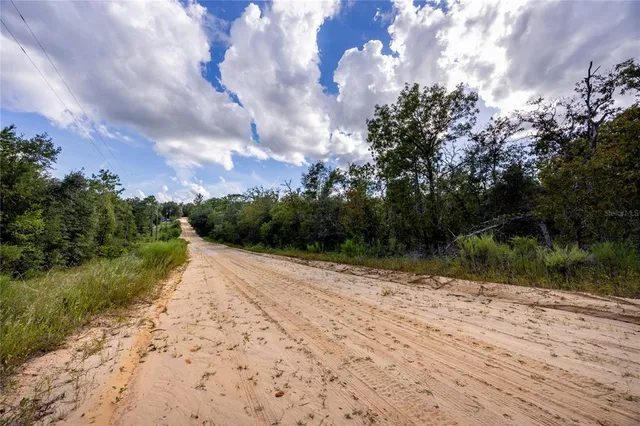 a view of outside space and a yard