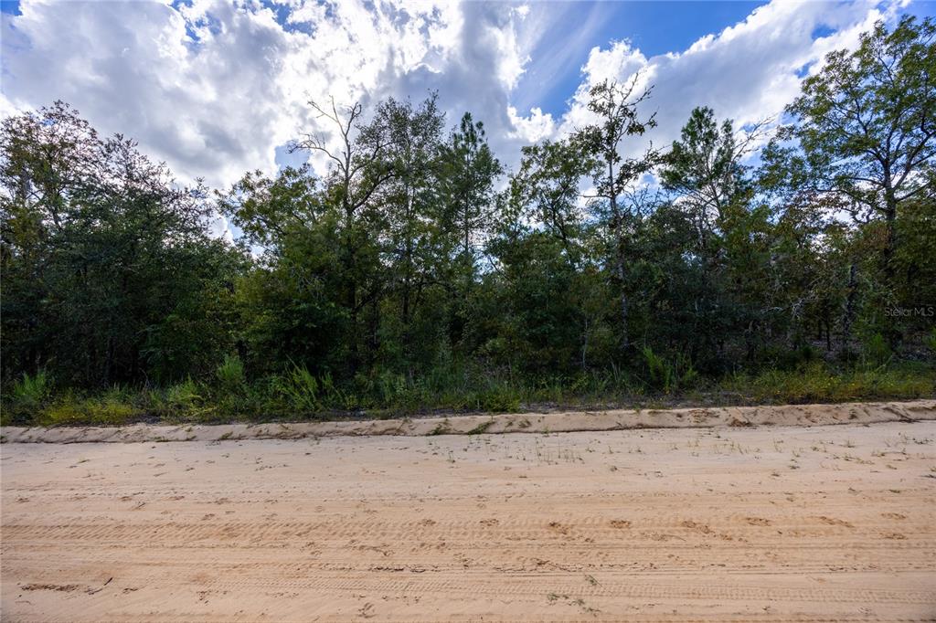 Tbd Grey Street East Interlachen, FL 32148 - Photo 20 of 22 a view of outdoor space with trees