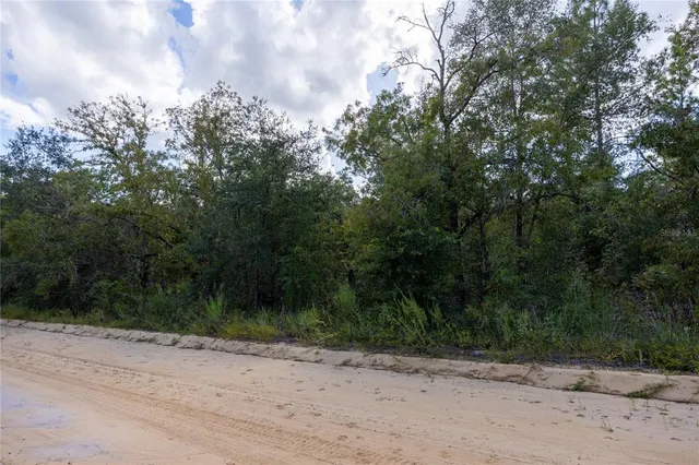 a view of a dirt road with trees in the background