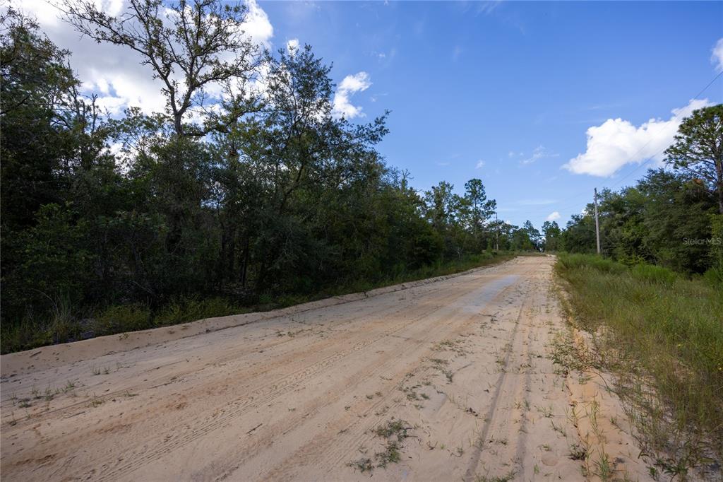 Tbd Grey Street East Interlachen, FL 32148 - Photo 22 of 22 a view of outdoor space and yard