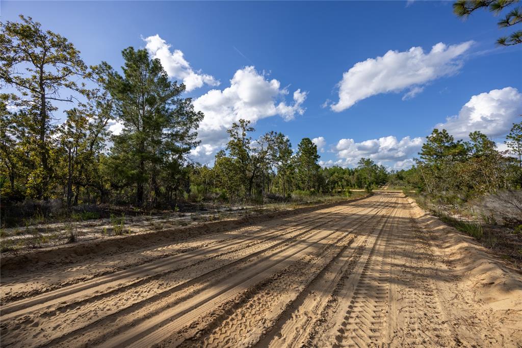Tbd Grey Street East Interlachen, FL 32148 - Photo 6 of 22 a view of a yard