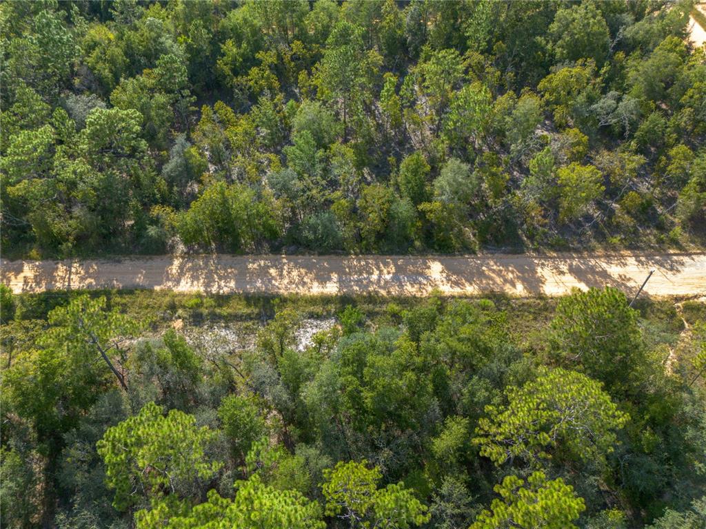 Tbd Grey Street East Interlachen, FL 32148 - Photo 9 of 22 a view of a yard