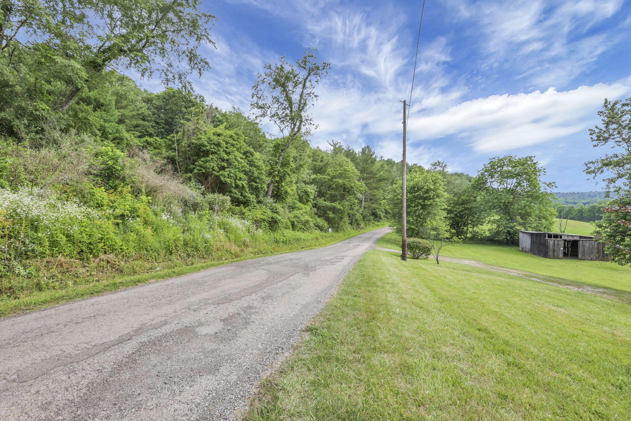 7455 Old Grade Road Chesterhill, OH 43728 - Photo 61 of 78 50-web-or-mls-LO5A5550