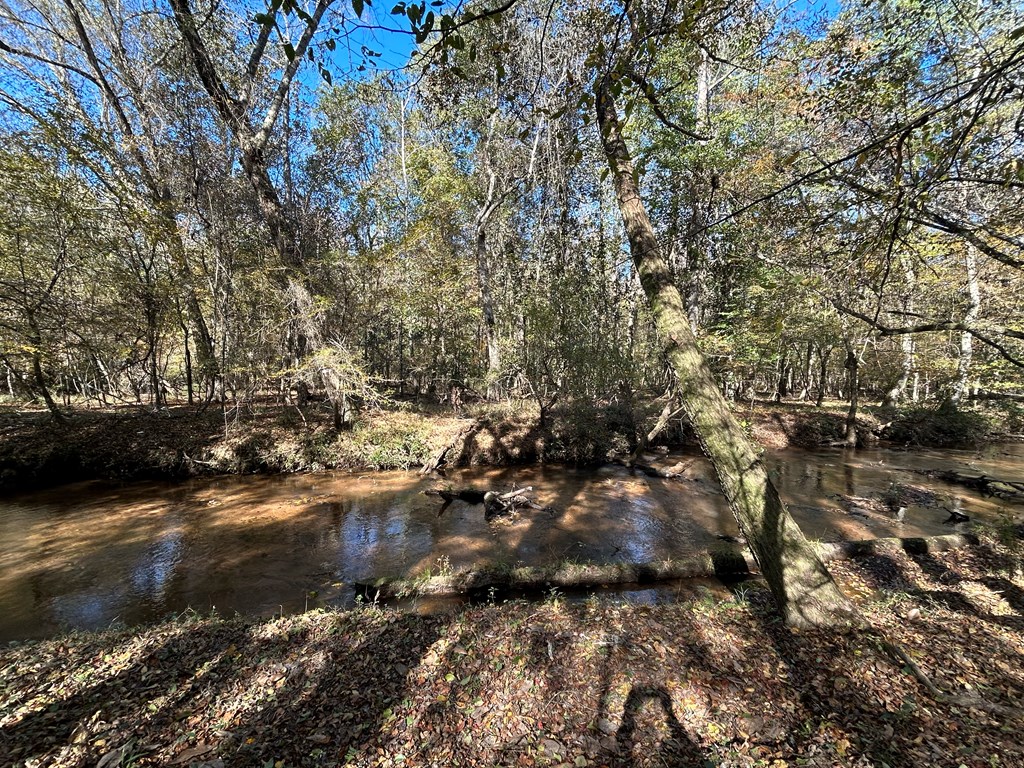 62/ Cty Road Coleman, GA 39836 - Photo 34 of 58