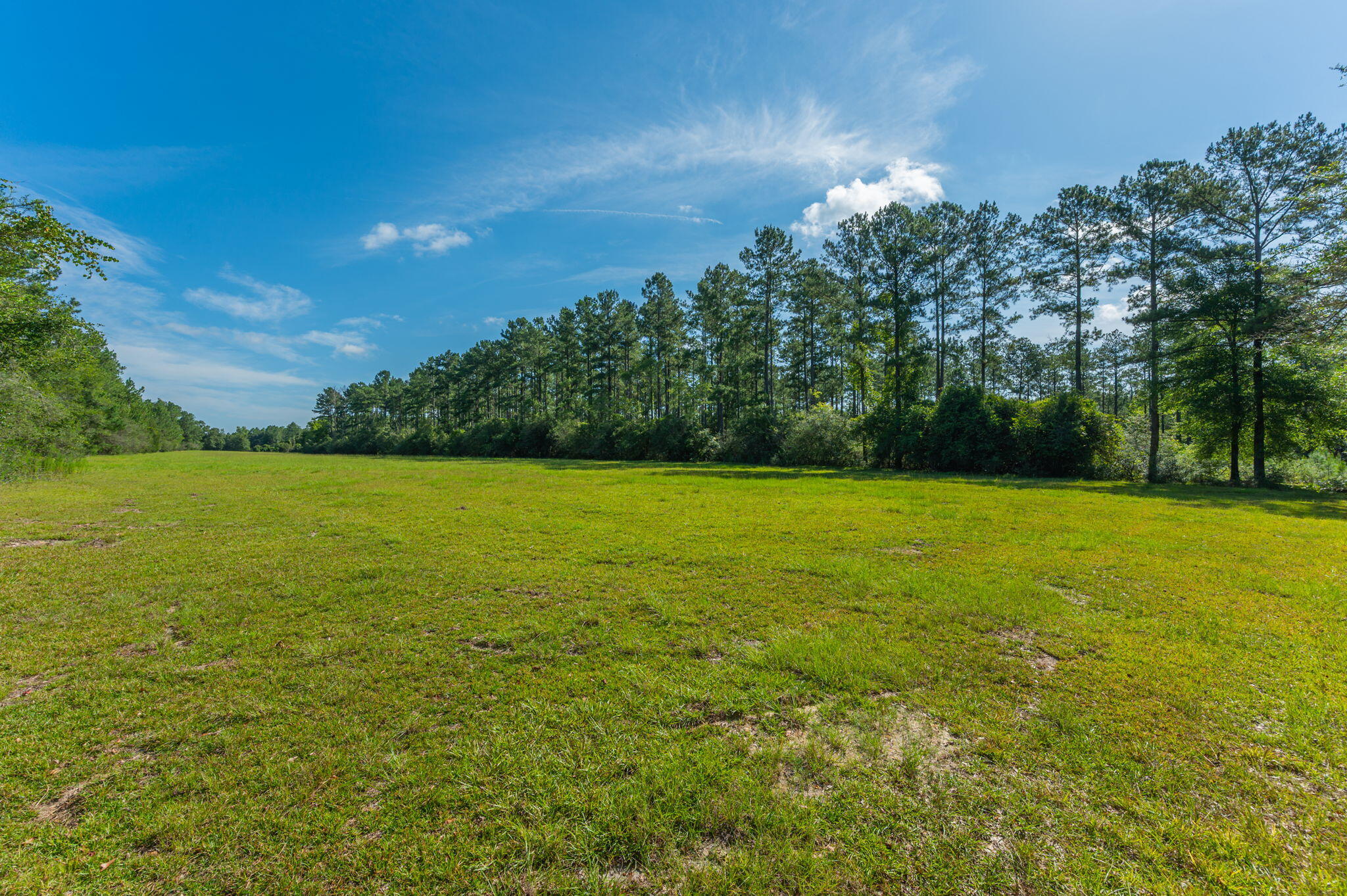 139-acres Yorkey Road Westville, FL 32464 - Photo 13 of 37 a view of a garden with a house in the background