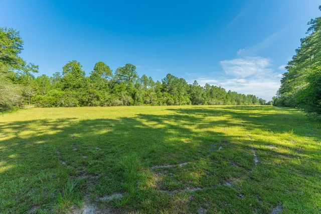 $800,000 | 139-acres Yorkey Road, Westville, FL 32464