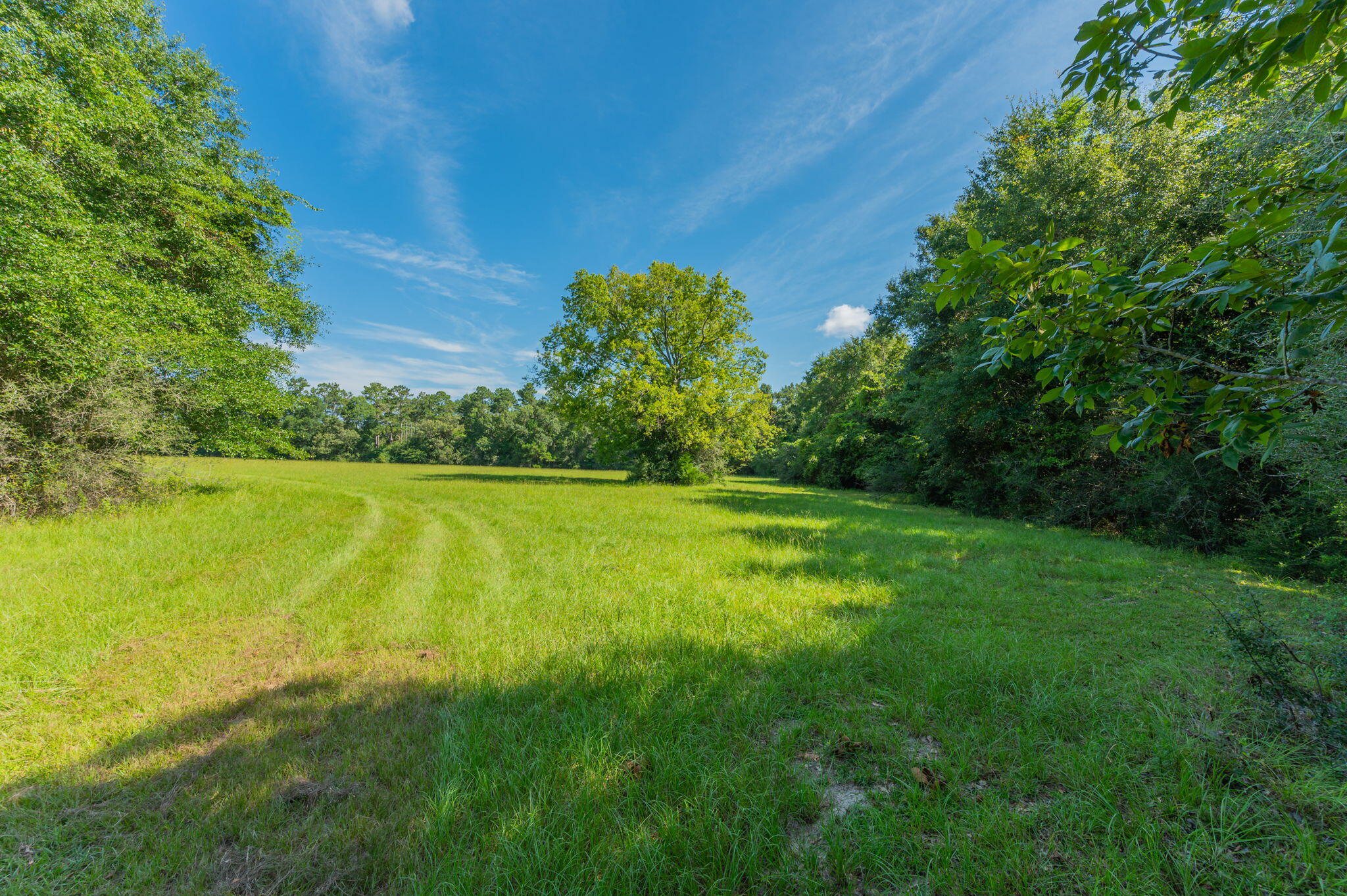 139-acres Yorkey Road Westville, FL 32464 - Photo 16 of 37 a view of yard with swimming pool and green space