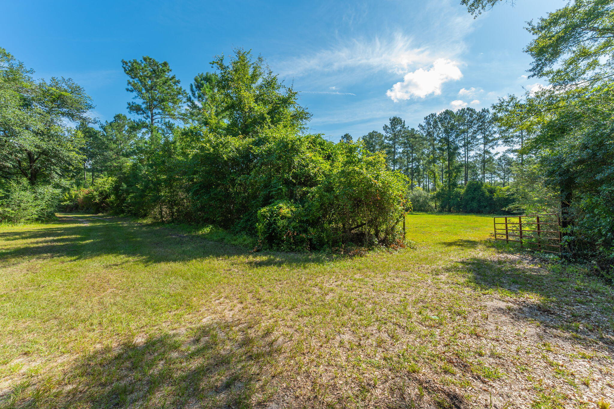 139-acres Yorkey Road Westville, FL 32464 - Photo 19 of 37 a view of a water fountain and a big yard