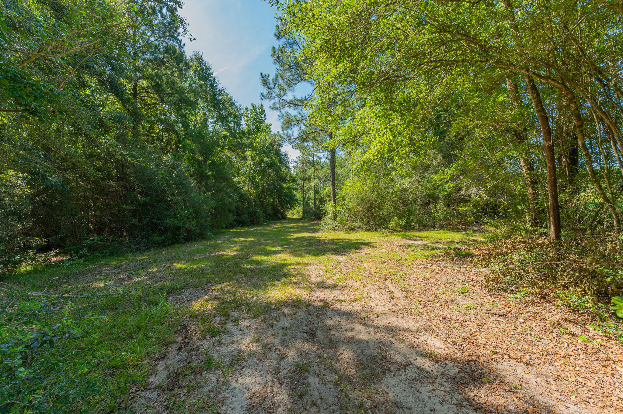 139-acres Yorkey Road Westville, FL 32464 - Photo 24 of 37 a view of outdoor space with deck and yard